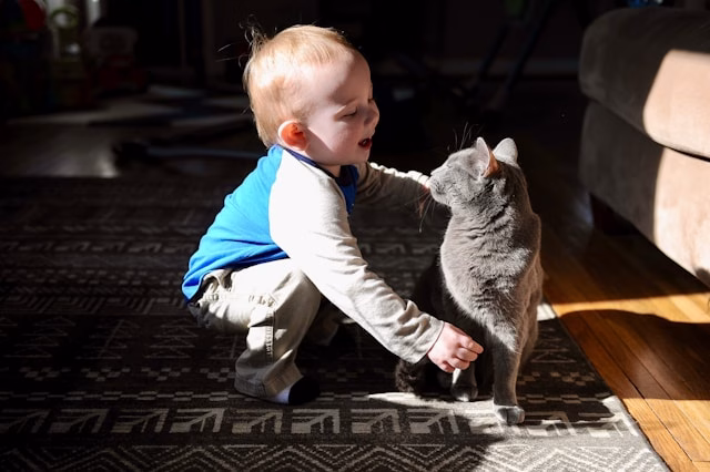 A child gently petting a gray cat in sunlight, showing the bond of love and trust between humans and cats.